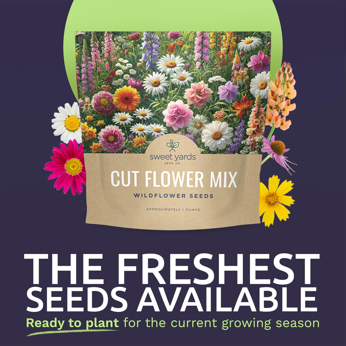Sweet Yards seed packet close up showing thousands of seeds for germination