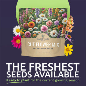 Sweet Yards seed packet close up showing thousands of seeds for germination