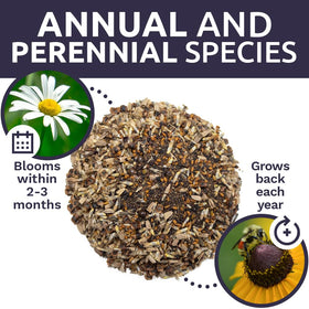 Planting guide image showing how to sow Sweet Yards seeds