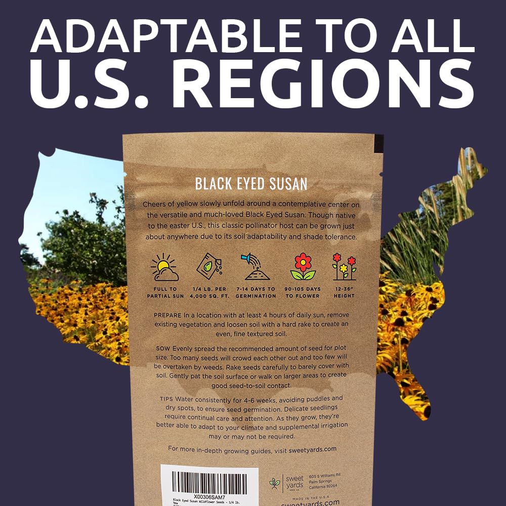 SWEET YARDS Seed packets bulk Rudbeckia hirta for gifting or sharing