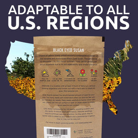 SWEET YARDS Seed packets bulk Rudbeckia hirta for gifting or sharing