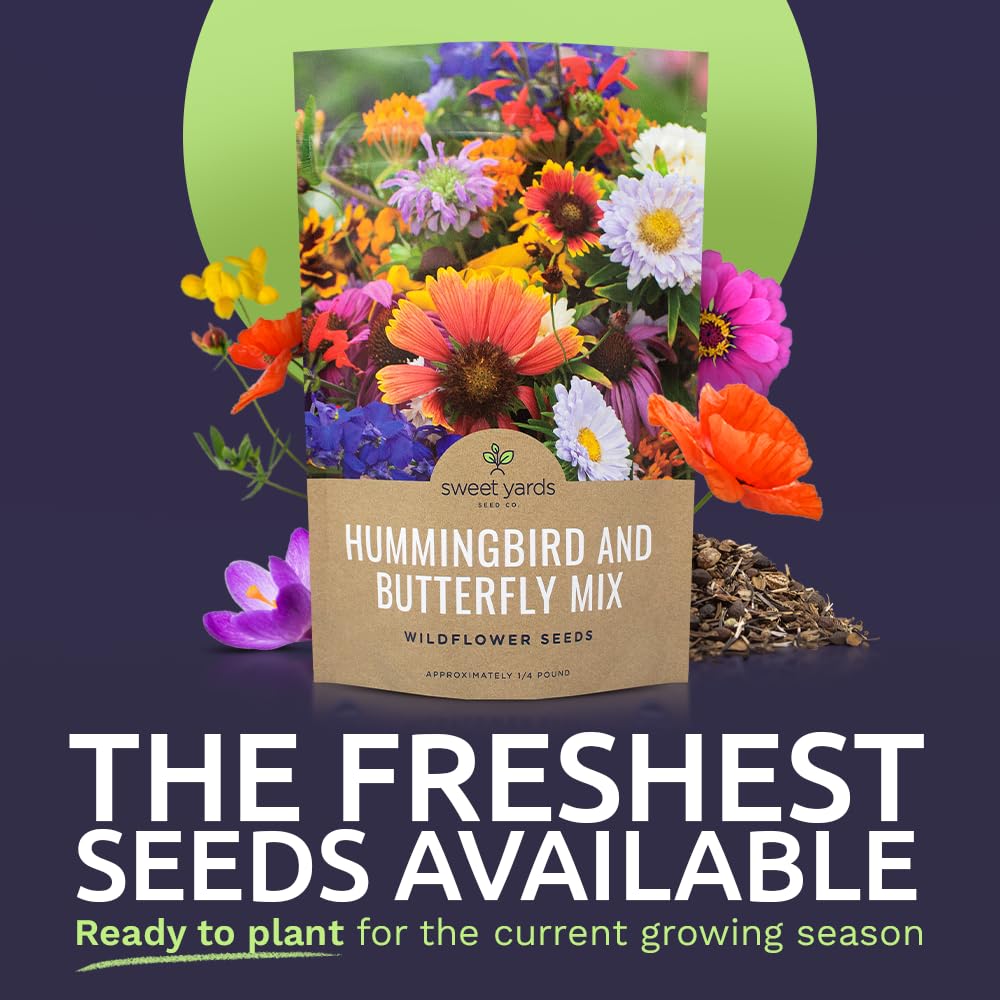 SWEET YARDS over 30,000 seeds close-up indicating abundance
