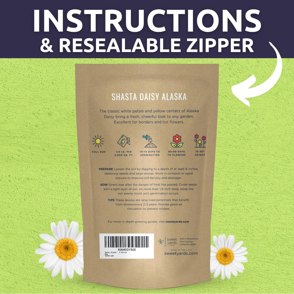 Long stems of Shasta Daisy Alaska suitable for cut flower arrangements