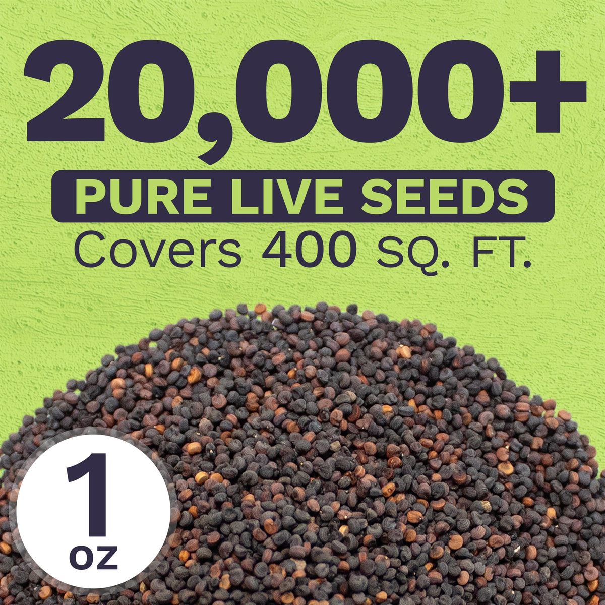 Sweet Yards Showy Baby's Breath seeds in a starter tray promote healthy seedlings.