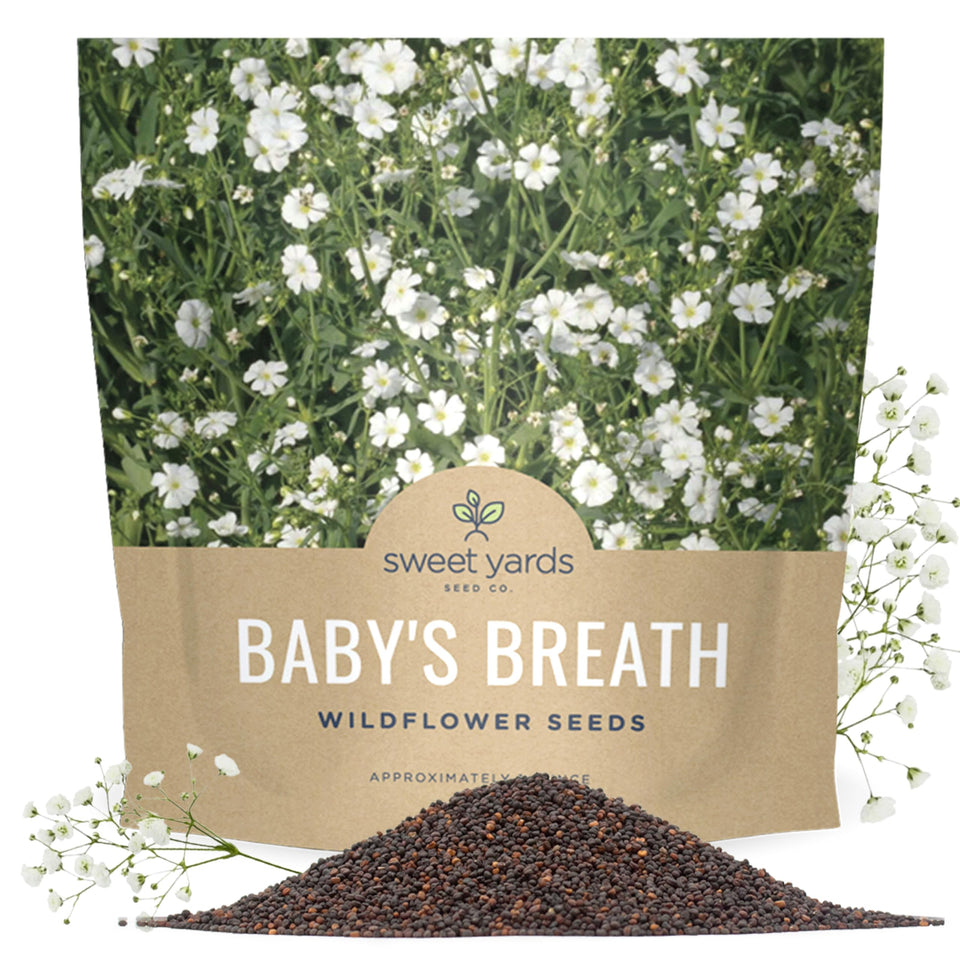 Sweet Yards Showy Baby's Breath seeds packet for large garden plots and easy sowing.