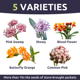 Sweet Yards Showy Milkweed seed packet promotes nectar for bees and butterflies