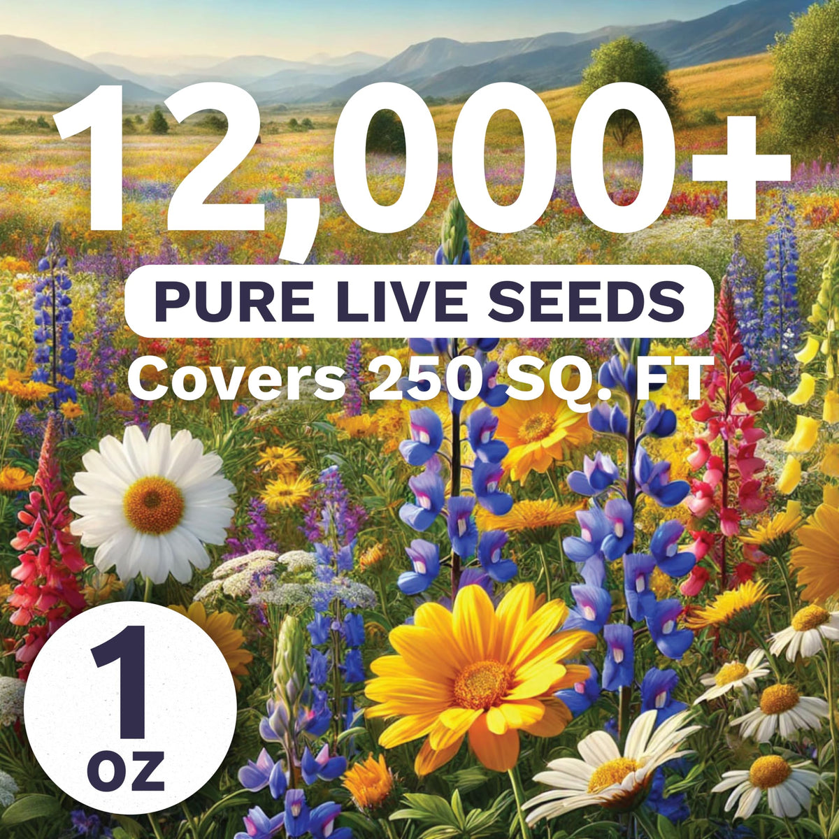 Sweet Yards Southeast Regional Mix seeds closeup showing thousands of live seeds ready to germinate.