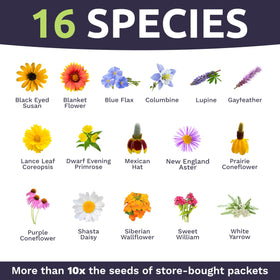 Sweet Yards sowing guide included for easy enjoyable planting and faster blooms