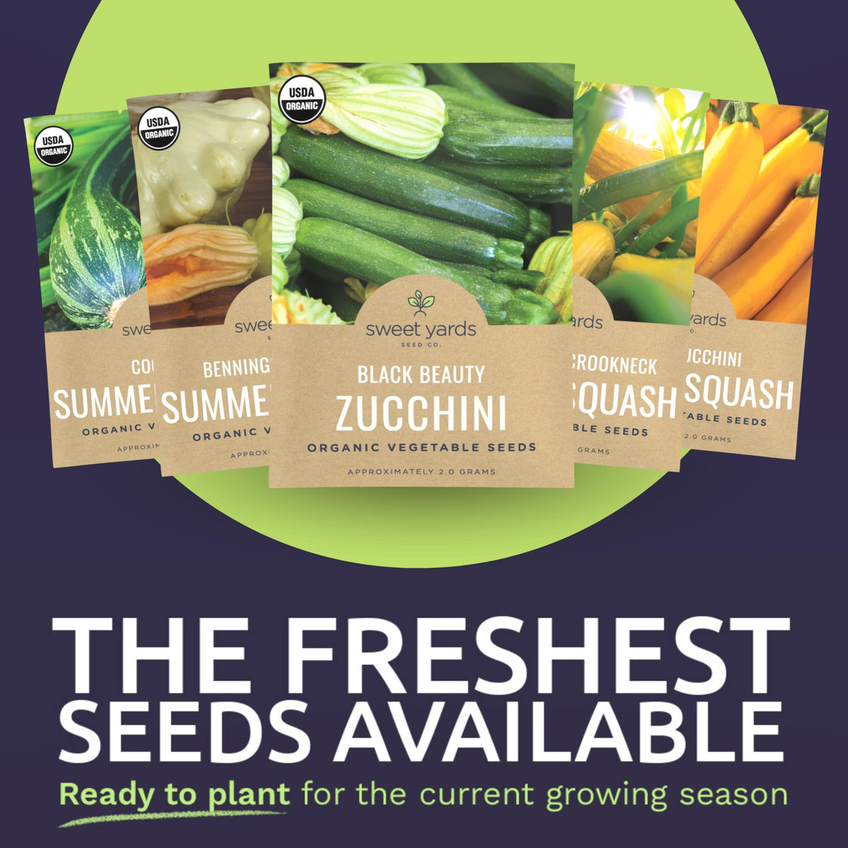 Sweet Yards Spaghetti Squash seed packet ideal for roasting