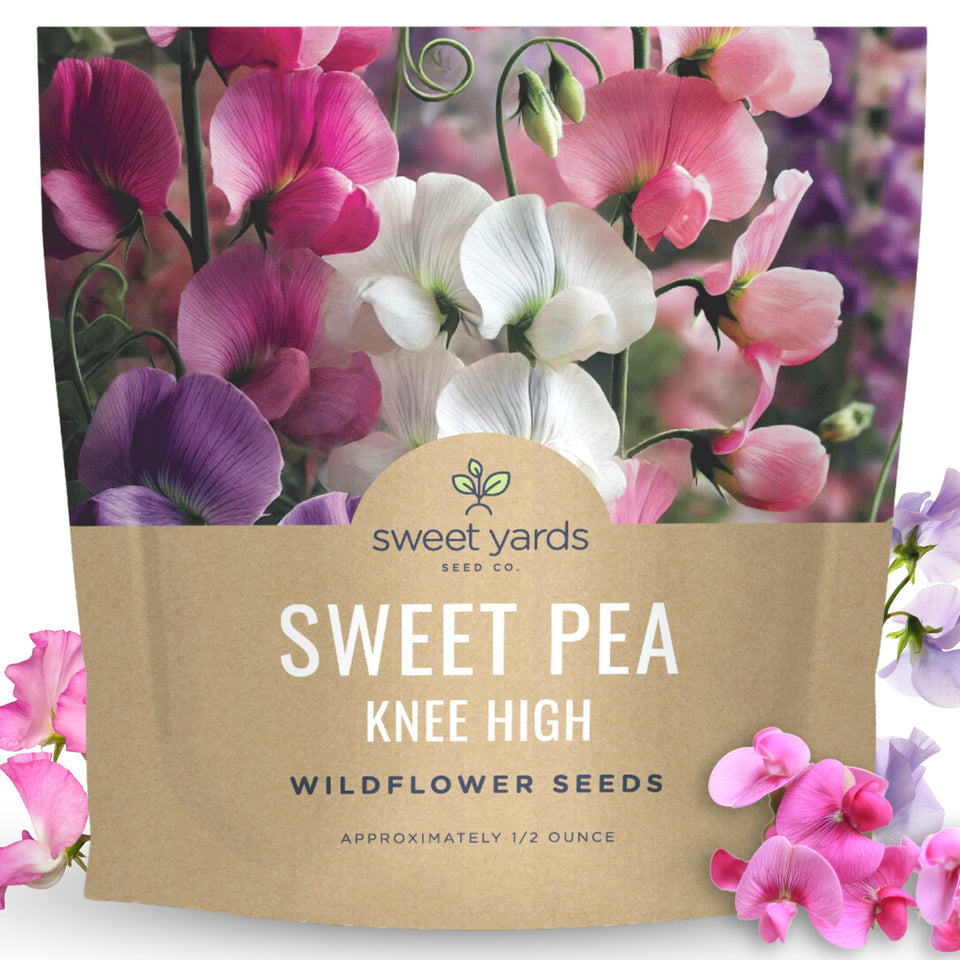 Sweet Yards Sweet Pea Knee High seeds ready for planting in sunlit beds