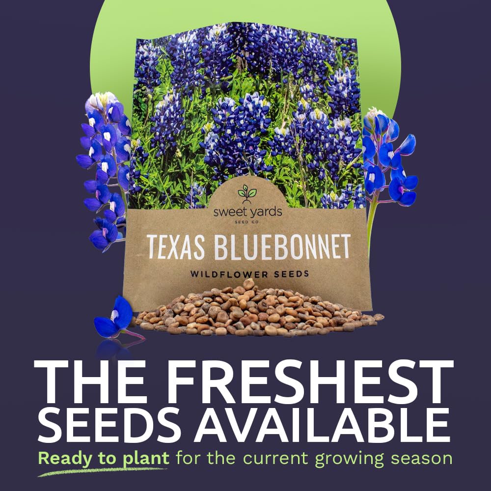 Sweet Yards Texas Bluebonnet seeds bulk coverage for 25 square feet.