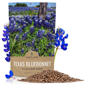 Sweet Yards Texas Bluebonnet seeds bulk bag ready for wide planting.