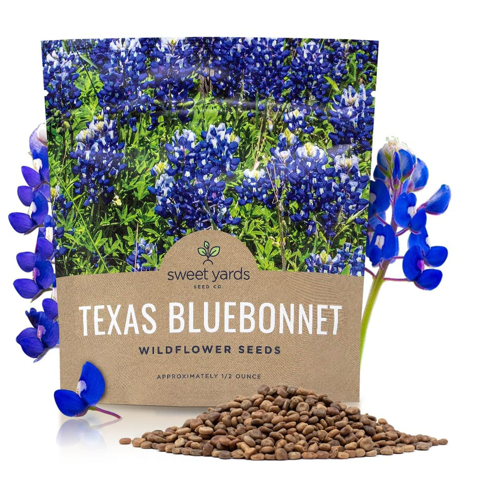 Sweet Yards Texas Bluebonnet seeds half-ounce packet ready for sowing.