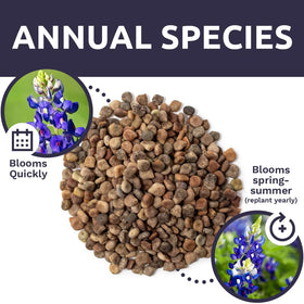 Sweet Yards USA-origin seeds ensure open-pollinated quality.