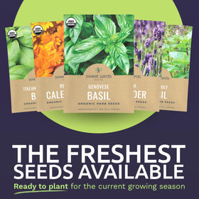 Sweet Yards assorted herb seed packets on table for diverse home garden