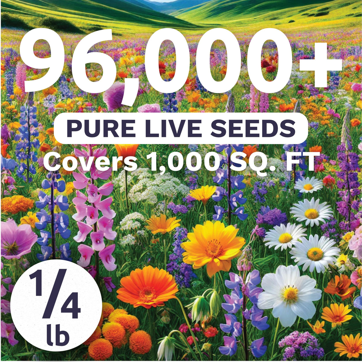 Sweet Yards wildflower meadow mix blooms along borders, attracting pollinators.
