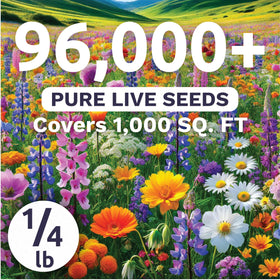 Sweet Yards wildflower meadow mix blooms along borders, attracting pollinators.