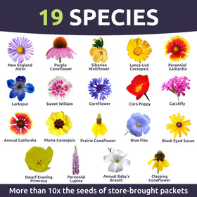 Sweet Yards wildflower meadow display – vibrant blooms that attract pollinators