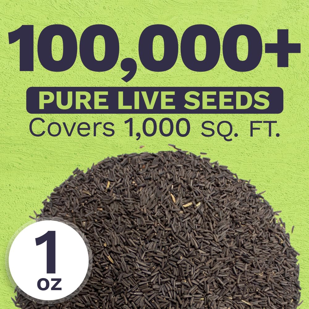 Sweet Yards wildflower seeds 100000 count for abundant color
