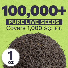 Sweet Yards wildflower seeds 100000 count for abundant color