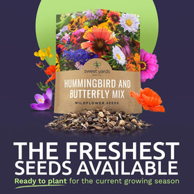 Sweet Yards wildflower seeds with 7,500+ seeds for a vibrant bloom.