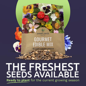 Sweet Yards Wildflower Seeds Edible Flowers Mix close-up of seeds for high germination