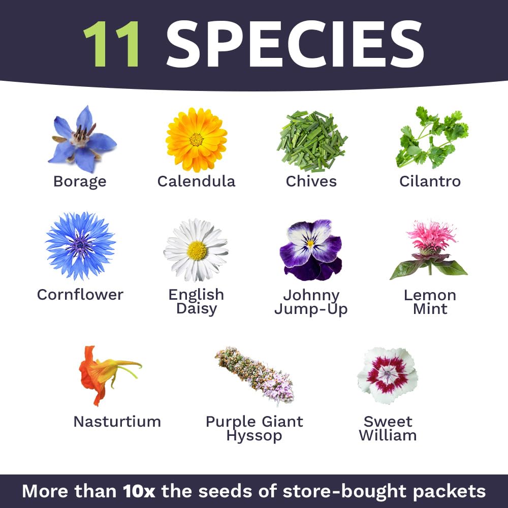 Sweet Yards Wildflower Seeds Edible Flowers Mix shows 16 edible varieties in tidy arrangement