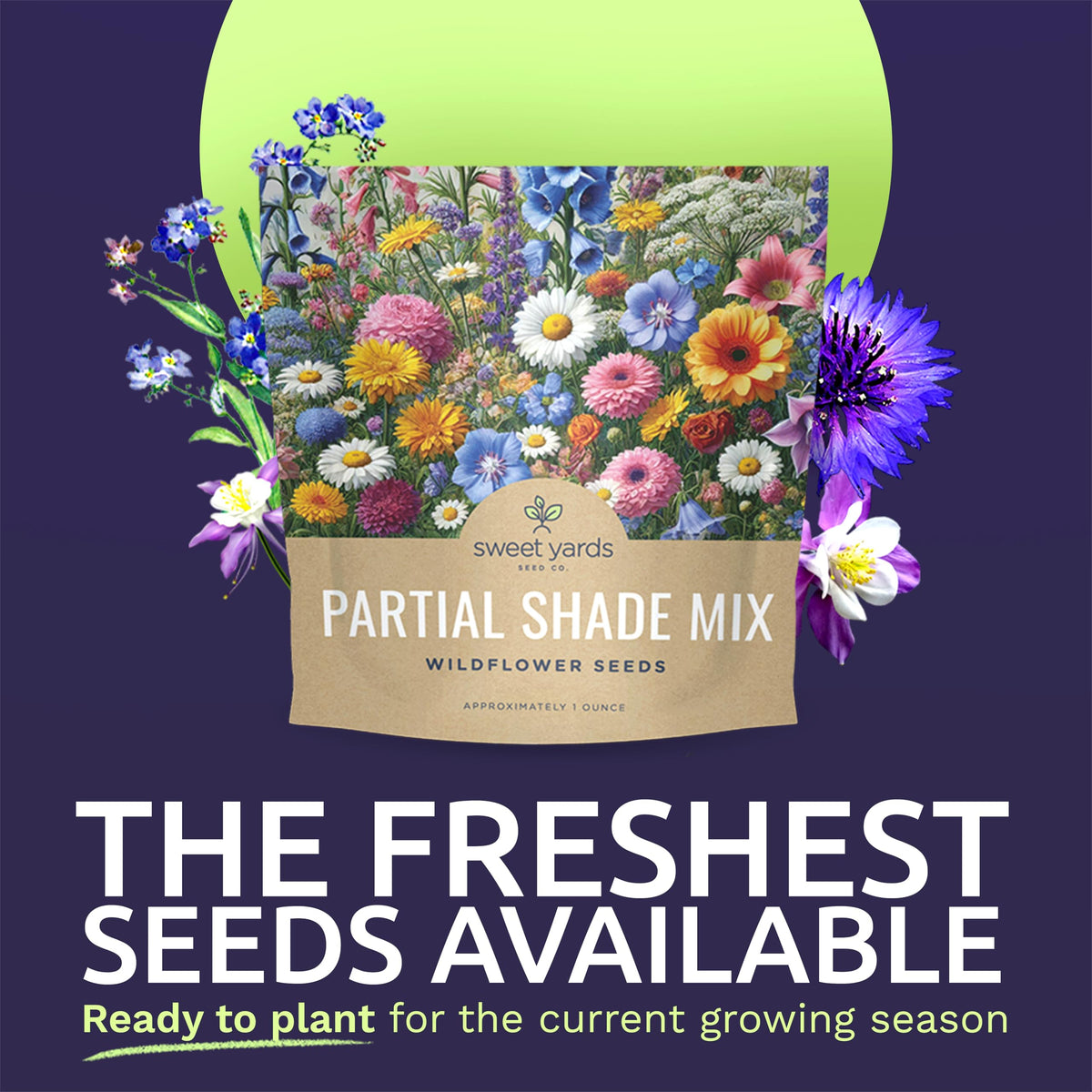Sweet Yards open-pollinated varieties offer diverse blooms for borders
