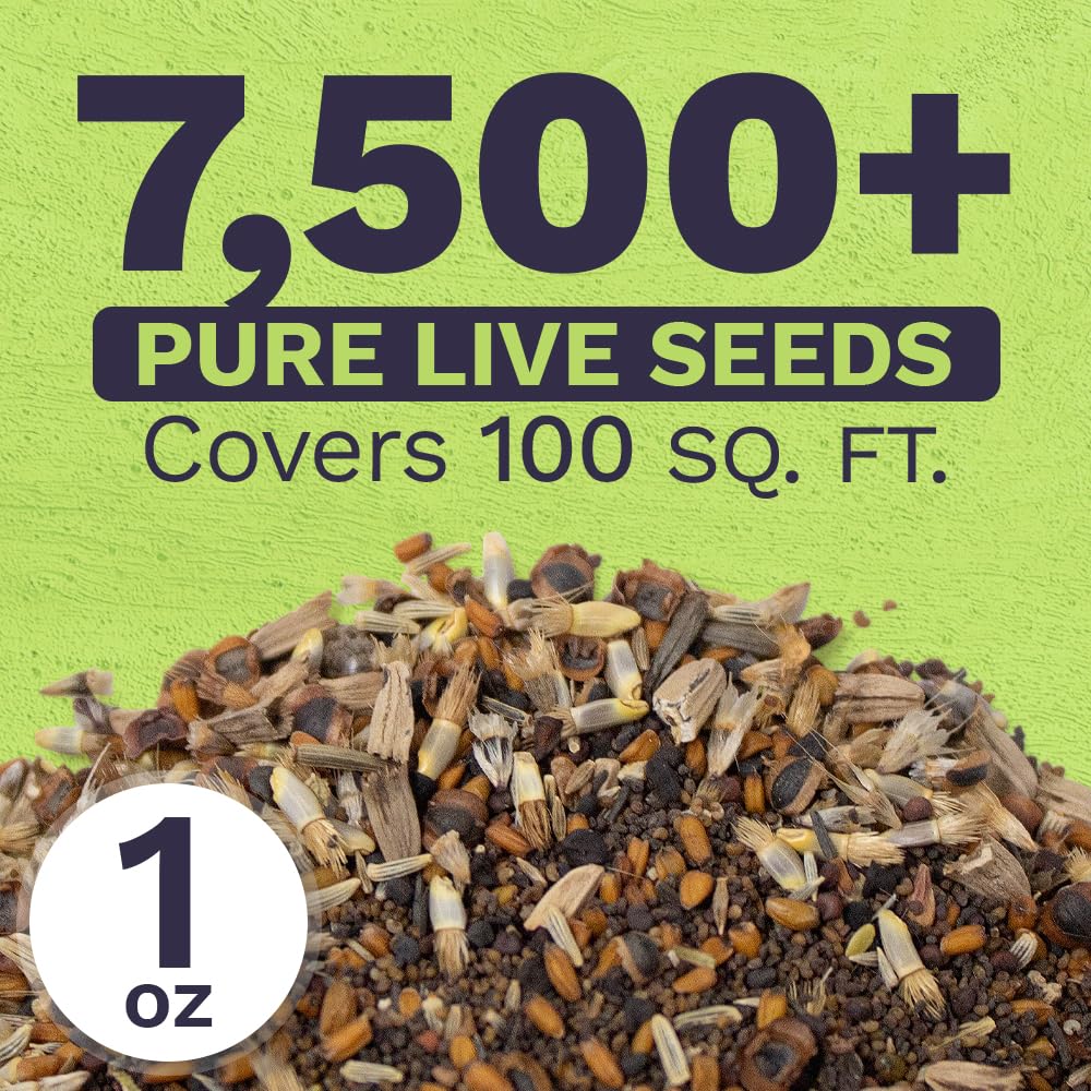 Sweet Yards seed packet side view showing extra-large 1oz packaging
