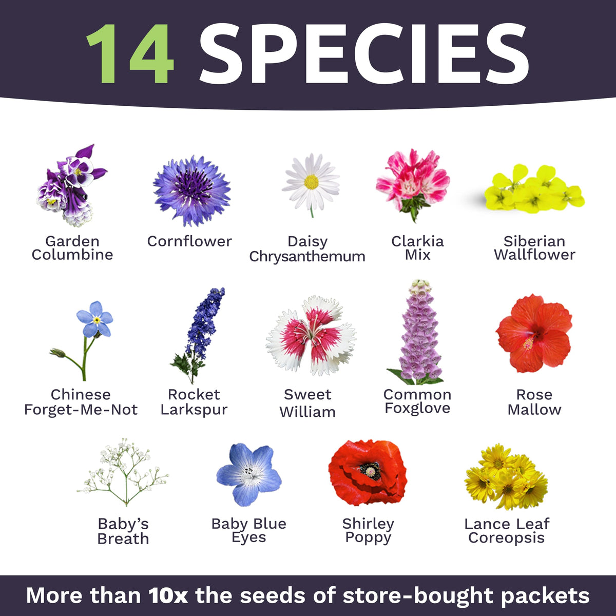 Sweet Yards premium packaging designed for fresh seeds and easy storage