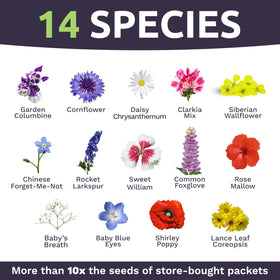 Sweet Yards premium packaging designed for fresh seeds and easy storage