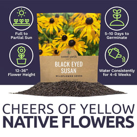 Sweet Yards wildflowers attract butterflies and pollinators in the garden