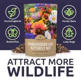 SWEET YARDS flowers attracting wildlife in a garden