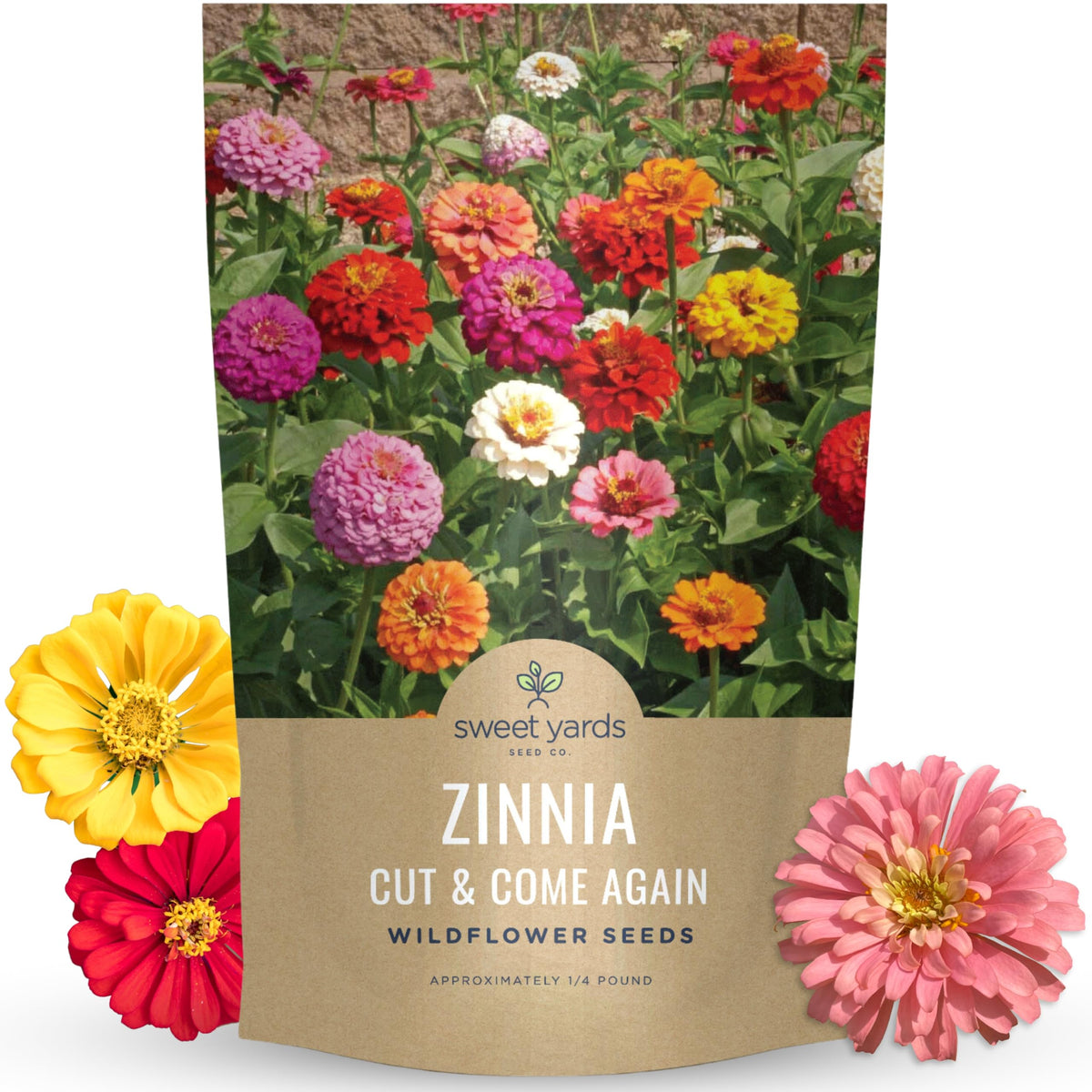 Sweet Yards zinnia Cut & Come Again mix bloom close-up bright petals for vibrant home accents.