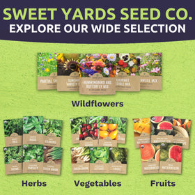 Sweet Yards zinnia Cut & Come Again mix brightens sunny borders all season long.