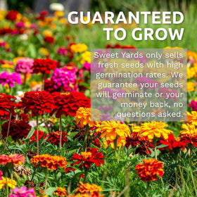 Sweet Yards zinnia Cut & Come Again mix field planting for bold garden color.