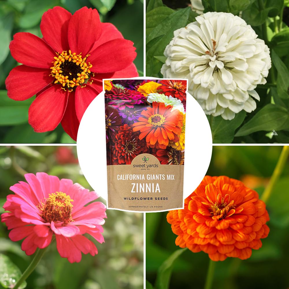 Sweet Yards gift-ready seed packaging suitable for gardeners