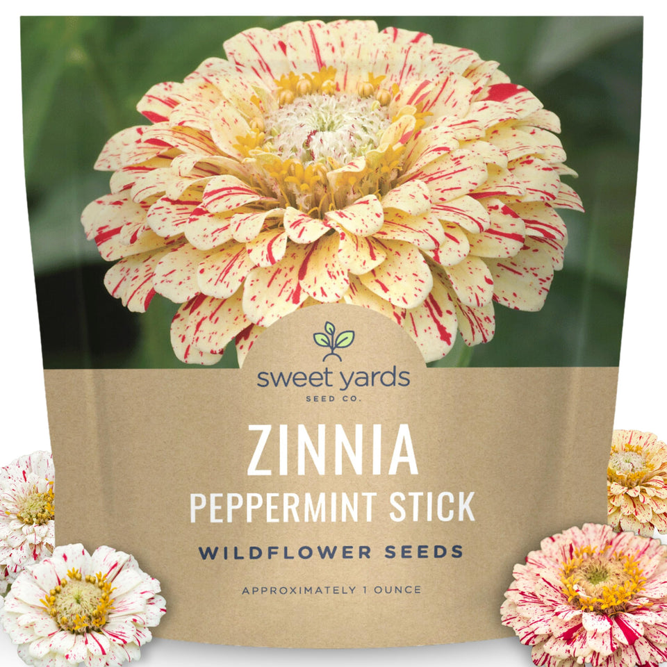 Sweet Yards Zinnia Peppermint Stick seed packet 1oz for filling large garden areas