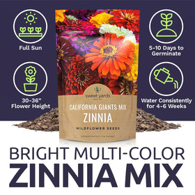 Sweet Yards zinnia seeds prepared to cover a 300 square foot area