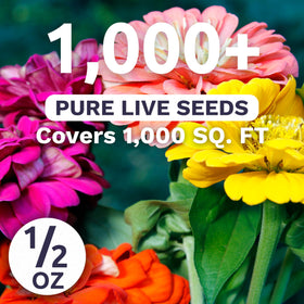 Sweet Yards Zinnia State Fair Mix blooms are large and bold for colorful garden displays