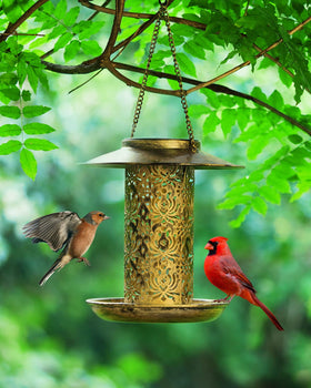 SWEETFULL bird-attracting-color-design helps birds notice the feeder among trees.