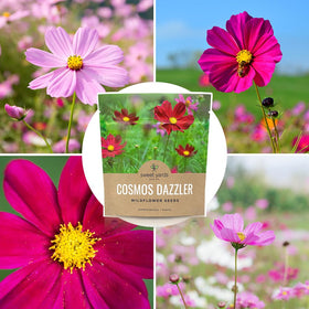 One 1 oz packet yields thousands of Cosmos flowers.