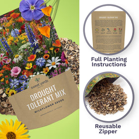 Sweet Yards 21-dryland-species showcase highlights color and texture.