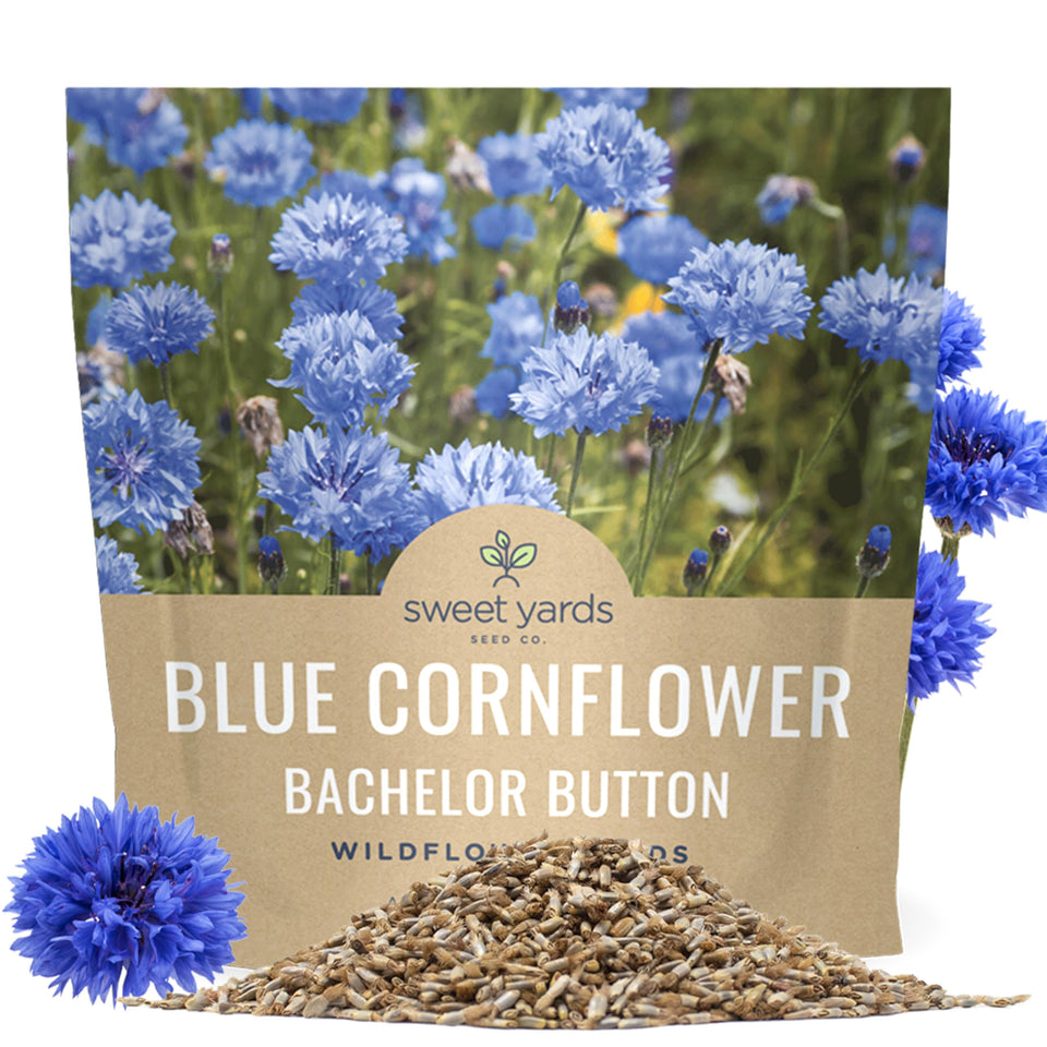 SweetYards Blue Cornflower seeds packet ready for sowing, ideal for vibrant borders.