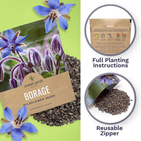 Sweet Yards borago seeds cover up to 100 square feet for a generous display.