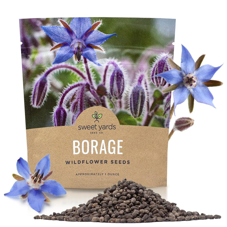 Sweet Yards borago seeds in an extra-large packet ready for sowing and planning.