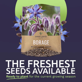Sweet Yards borago seeds packaging with zipper for easy storage and gifting.