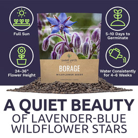 Sweet Yards seed packet includes clear planting instructions for beginners and pros alike.