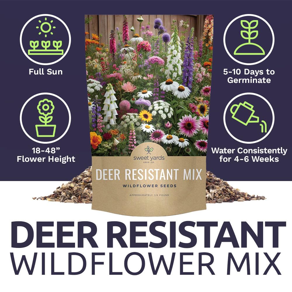 Sweet Yards border garden with deer-resistant blooms for year-round color.