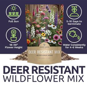 Sweet Yards border garden with deer-resistant blooms for year-round color.